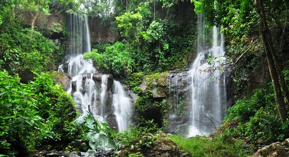 Adéntrate en la exótica selva de Tailandia en un tour en línea