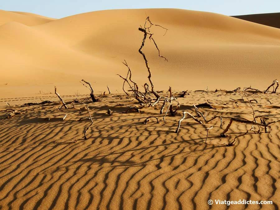 Conoce las maravillas de los desiertos más extraordinarios sin tener que soportar el calor