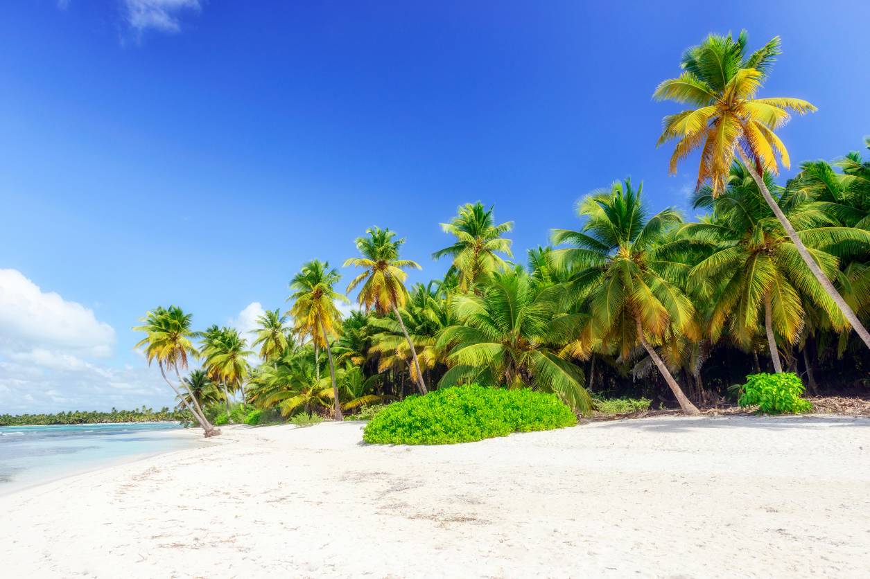 Descubre destinos de ensueño a través de nuestras experiencias virtuales