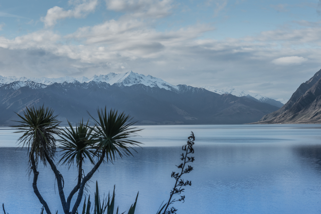 Descubre la belleza de los paisajes de Nueva Zelanda en línea