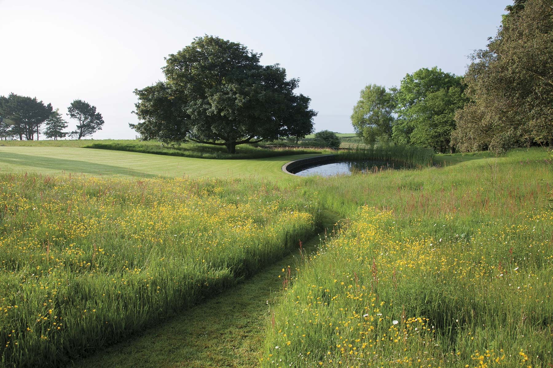Descubre la relación entre el arte y la naturaleza en los jardines de China
