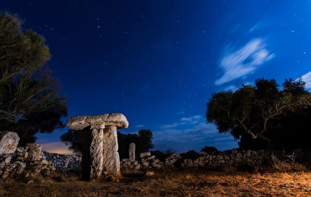 Descubre los parques ecológicos: tours virtuales por los espacios naturales preservados