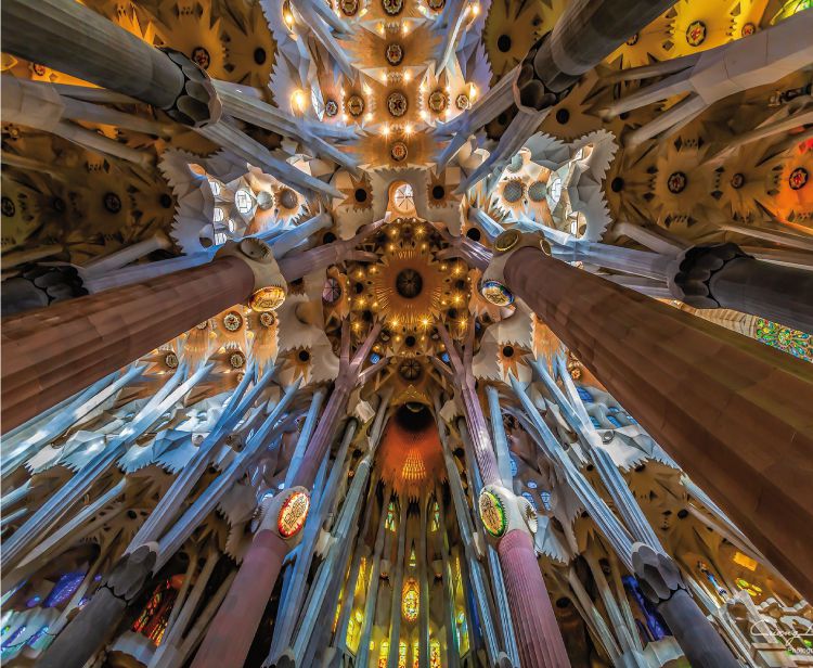 Disfruta de un tour en línea por la Sagrada Familia de Barcelona