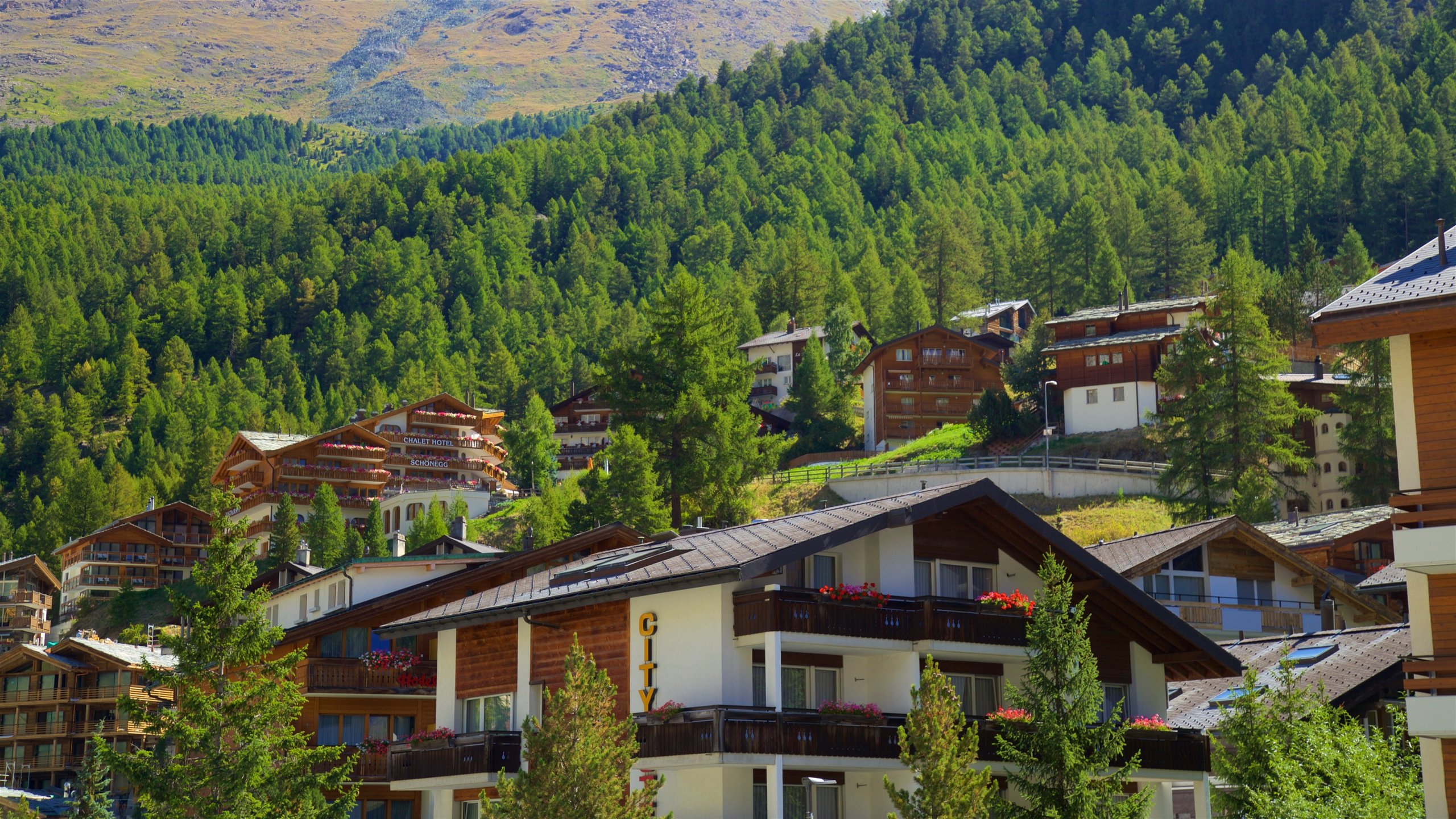 Explora la belleza natural de los pueblos alpinos
