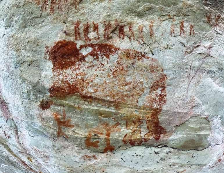 Explora la exuberante selva amazónica en un recorrido virtual