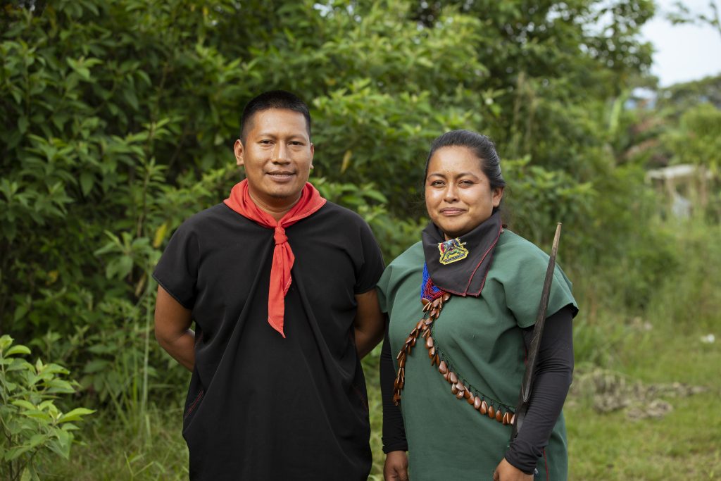 Explora la selva amazónica sin salir de casa: un tour virtual impactante