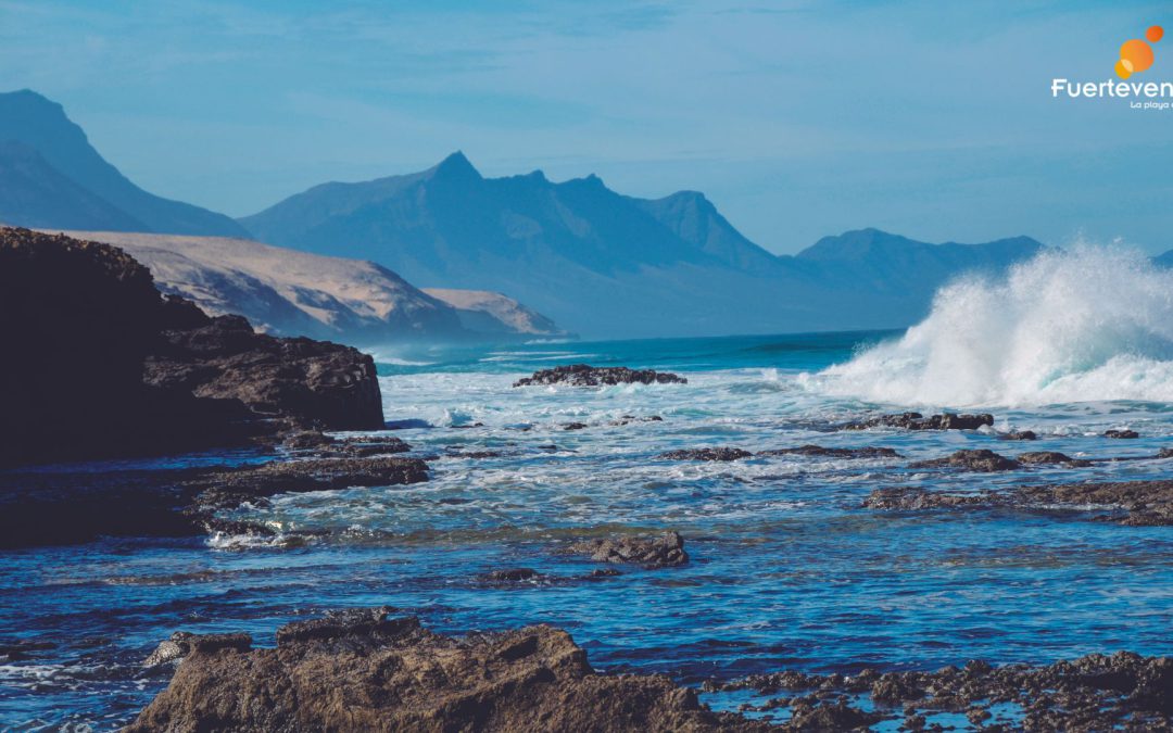 Explora las playas paradisíacas de Australia en un tour en línea fascinante