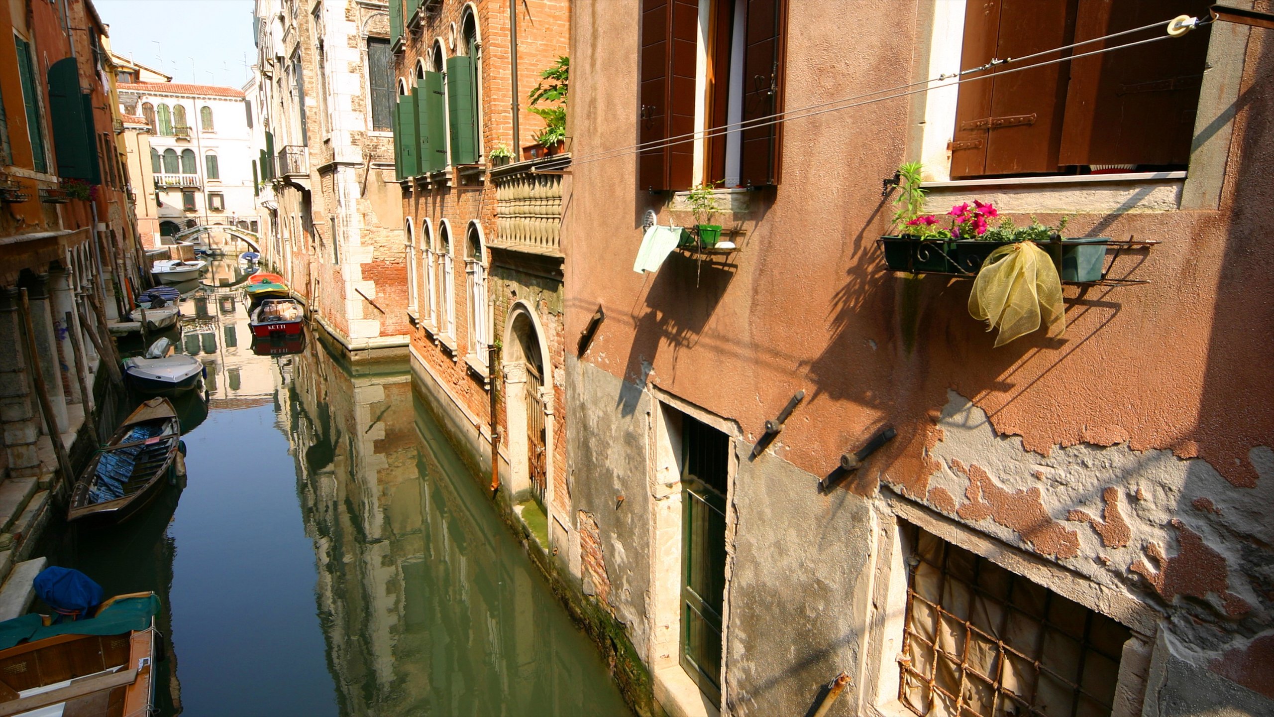 Explora los canales de Venecia sin salir de casa
