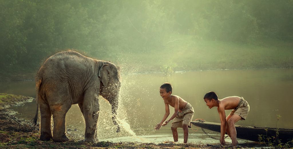 Recorre los templos de Angkor Wat en Camboya desde la comodidad de tu hogar