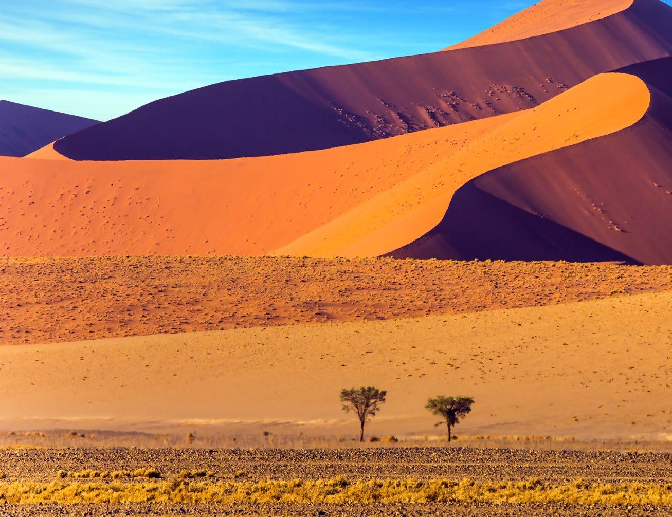 Sumérgete en la cultura ancestral de los pueblos indígenas de África