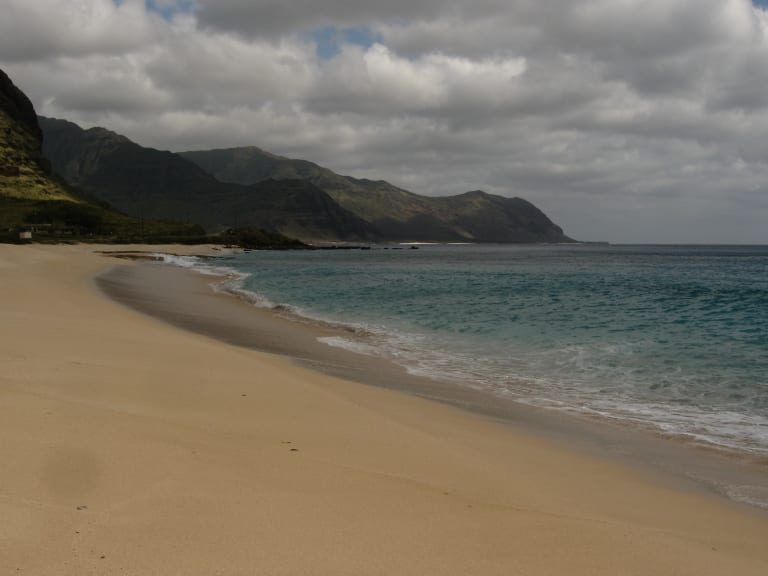 Sumérgete en las aguas cristalinas de Hawái en un recorrido en línea