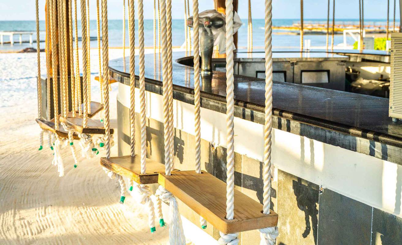 Sumérgete en las profundidades de la Gran Barrera de Coral con una experiencia de realidad virtual