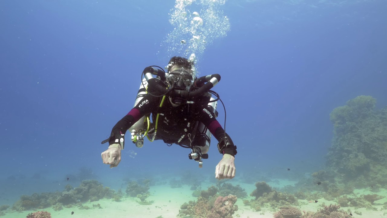Sumérgete en los arrecifes de coral de Australia con nuestro video submarino