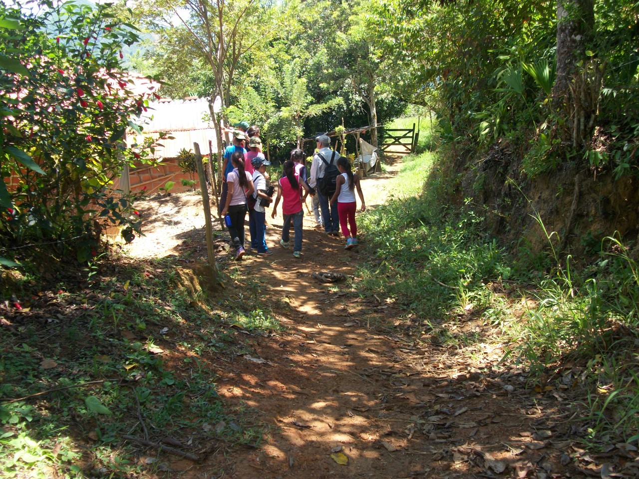 Viaja virtualmente a las exuberantes selvas de Costa Rica y disfruta de su biodiversidad