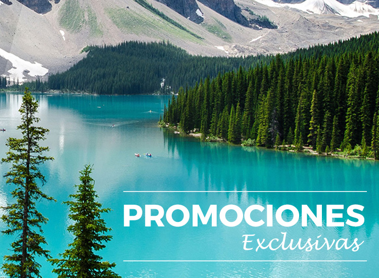 Viaja virtualmente a Machu Picchu y asómbrate con su arquitectura antigua