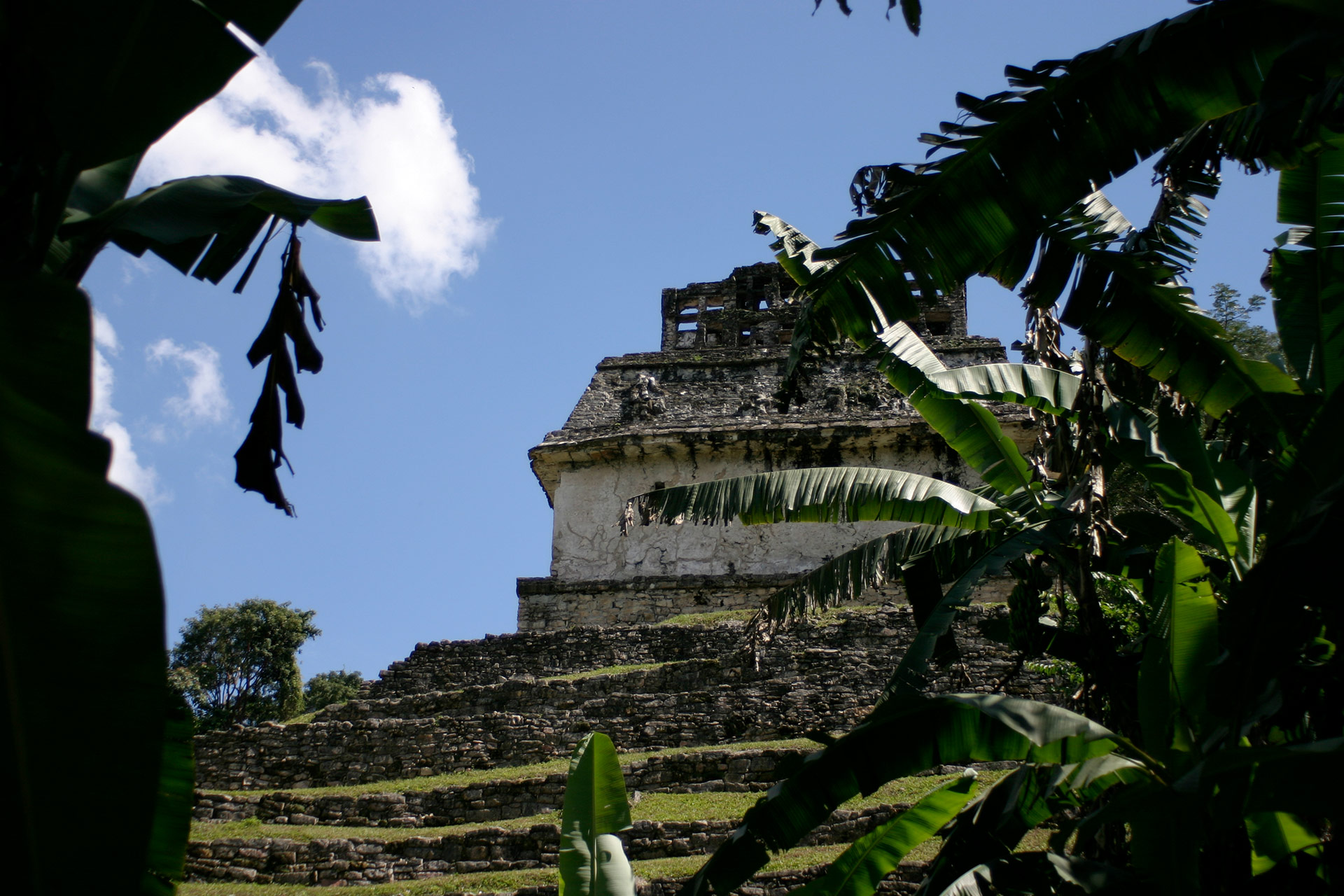 Viaje virtual a las antiguas ruinas de Palenque en México