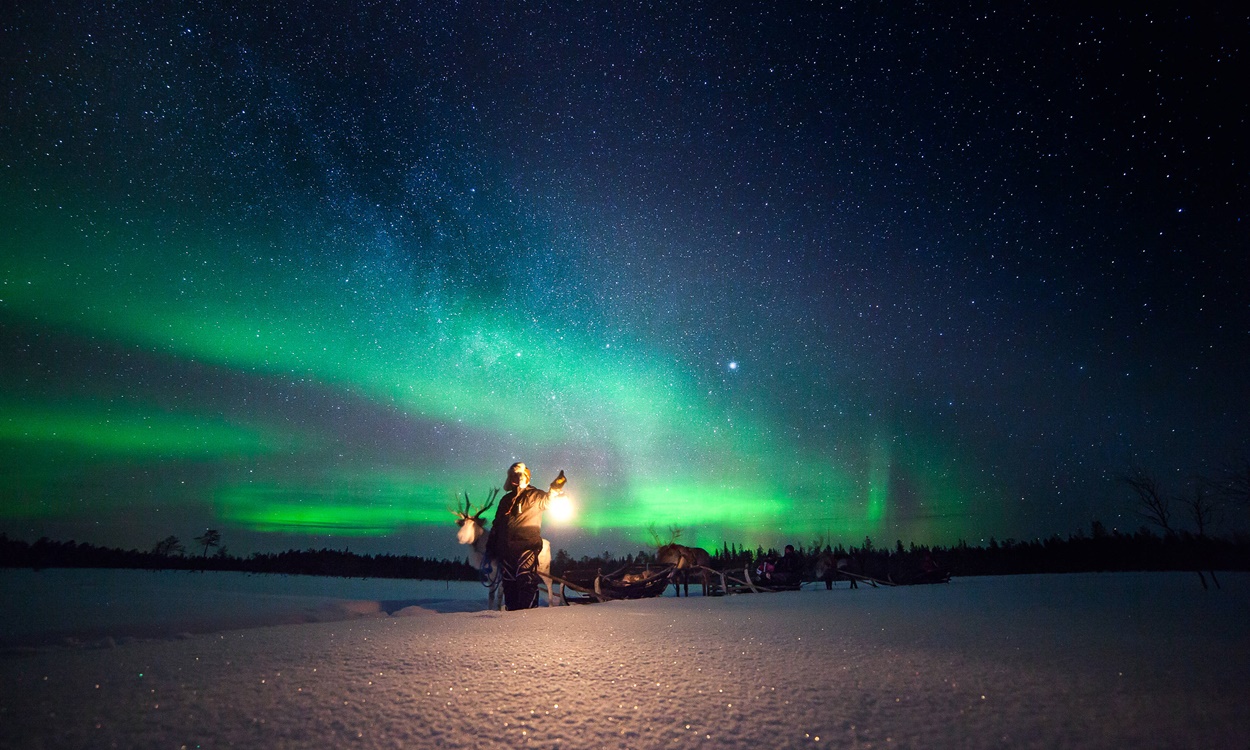 Vive la emoción de un paseo en trineo por la Laponia finlandesa en línea